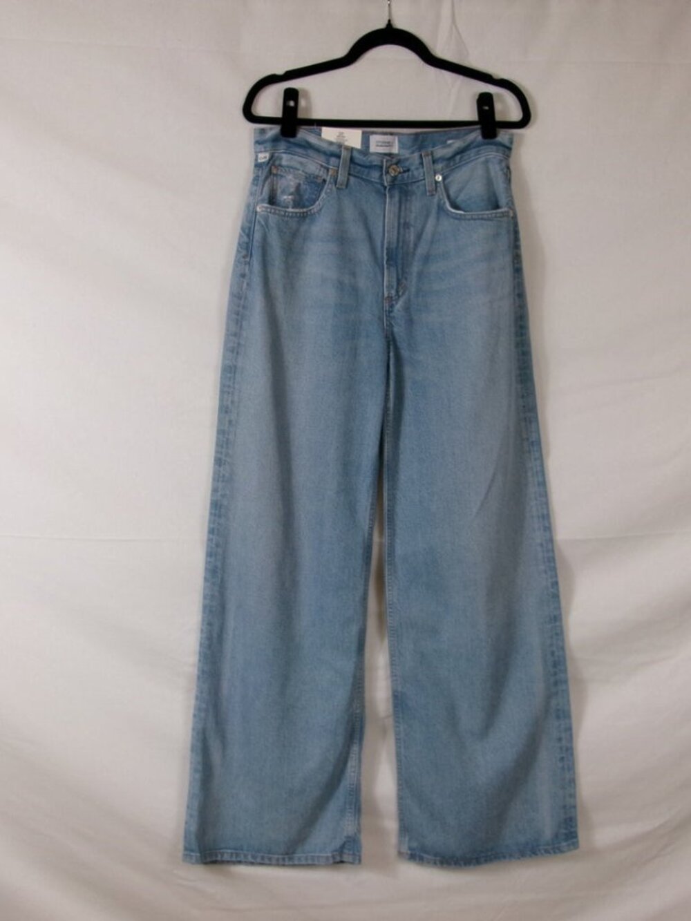 Citizens of Humanity Paloma Baggy Wide-Leg Jeans Alemayde (Size 27)